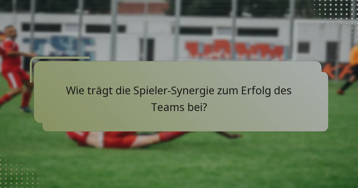 Wie trägt die Spieler-Synergie zum Erfolg des Teams bei?